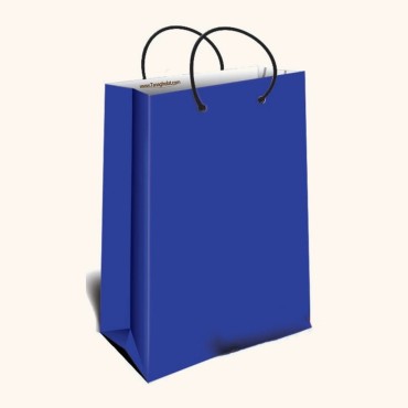 ساک کادویی متوسط طولی سایز 3 طرح اطلسی ساده