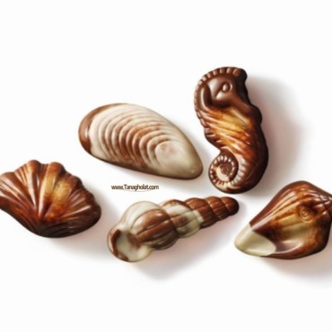 شکلات کادویی گولیان مدل صدفی 250 گرمی