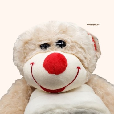 عروسک خرس باکس به دست