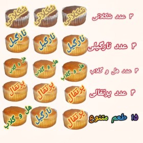 پکیج ویژه 15 عددی کیک بدون گلوتن متنوع نیکونان(5+10)