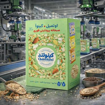 اوتمیل کینوا با زنجبیل و دانه چیا بدون گلوتن و شکر کینولند 300 گرمی
