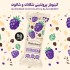 فروشگاه اینترنتی تنقلاتکینوا بار پروتئینی شکلات و شاتوت بدون گلوتن و وگان کینولند 25 گرمی