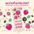 کینوا بار پروتئینی قهوه و بری بدون گلوتن و وگان کینولند 25 گرمی