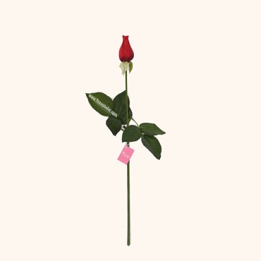 تک شاخه گل رز غنچه لمسی تولیپ در شش رنگ مختلف