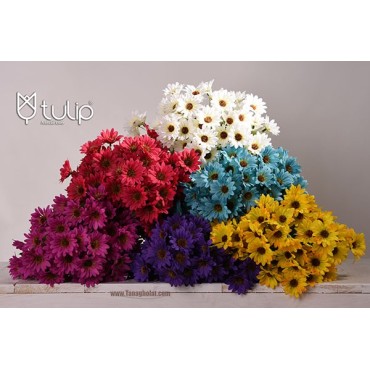 دسته گل مینا پر گل تولیپ در پنج رنگ مختلف