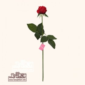 تک شاخه گل رز مینیاتوری لمسی تولیپ