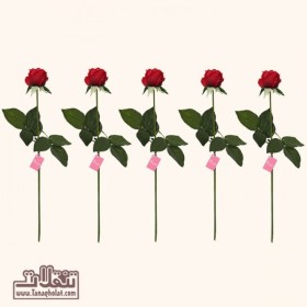 پنج شاخه گل رز مینیاتوری لمسی تولیپ