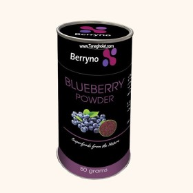 پودر بری نو بلوبری 50 گرمی