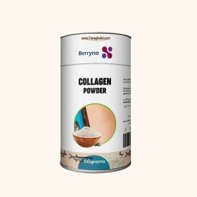 پودر بری نو کلاژن 50 گرمی