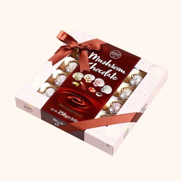 شکلات کادویی الیت مدل قارچ شکلاتی