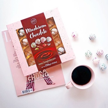 شکلات کادویی الیت مدل قارچ شکلاتی