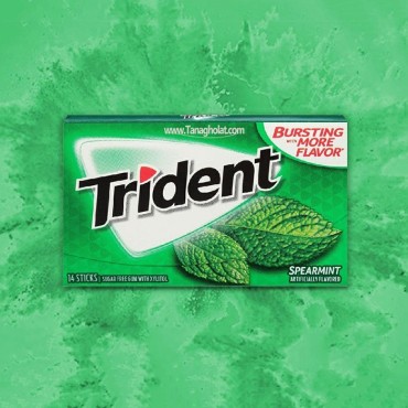 آدامس تریدنت نعنایی شیرین بدون قند 30 گرمی