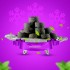 DR STEVIA green spirulina diet confectionery